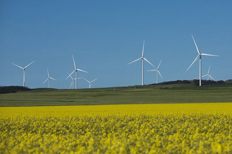 Hornsdale wind farm